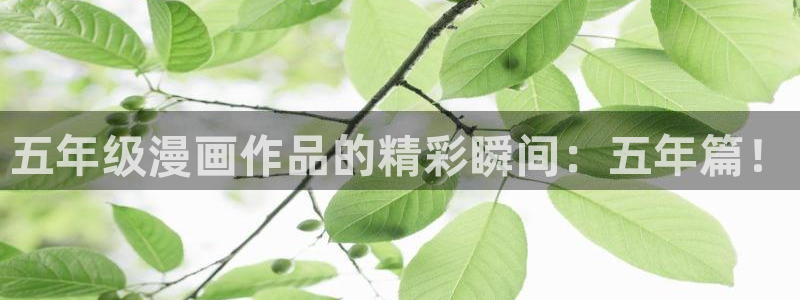 汗汗漫画看不了了：五年级漫画作品的精彩瞬间：五年篇！