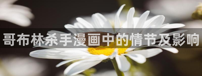 韩版无遮汗汗漫画：哥布林杀手漫画中的情节及影响