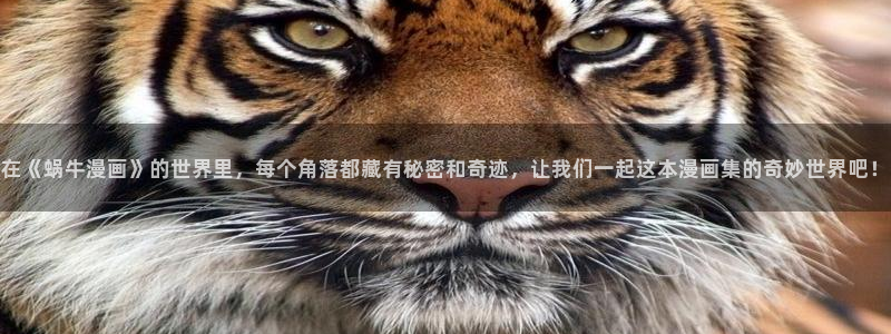 汗汗漫画网页入口：在《蜗牛漫画》的世界里，每个角落都藏有秘密和奇迹，让我们一起这本漫画集的奇妙世界吧！