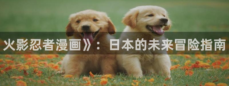 汗汗漫画入口sss：火影忍者漫画》：日本的未来冒险指南
