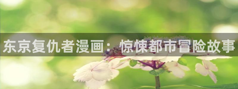 汗汗漫画3d：东京复仇者漫画：惊悚都市冒险故事