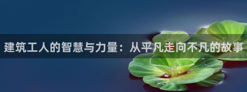汗汗漫画全集：建筑工人的智慧与力量：从平凡走向不凡的故事
