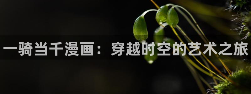 歪歪歪汗汗漫画：一骑当千漫画：穿越时空的艺术之旅