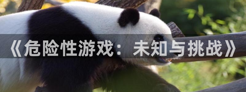 歪歪漫画——汗汗漫画：《危险性游戏：未知与挑战》