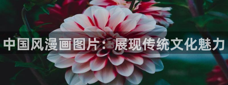 羞羞漫画 汗汗漫画：中国风漫画图片：展现传统文化魅力