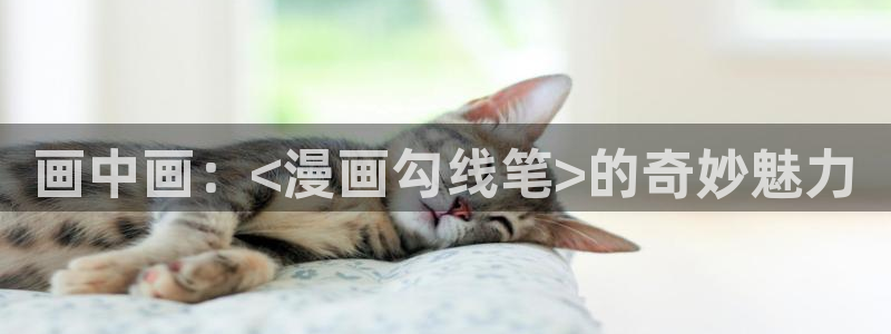 汗汗漫画下拉：画中画：<漫画勾线笔>的奇妙魅力