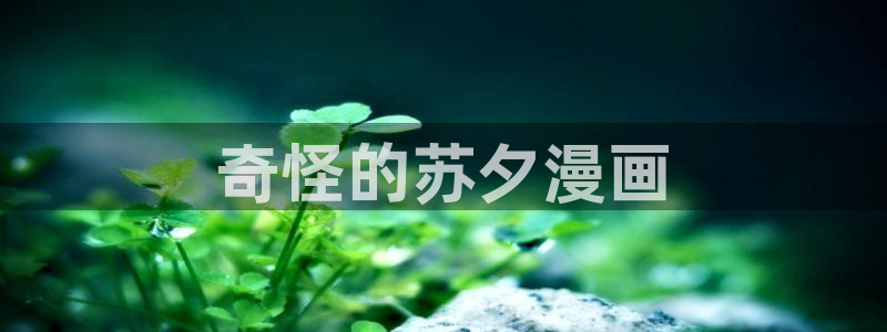 羞羞漫画汗汗漫画av漫画：奇怪的苏夕漫画
